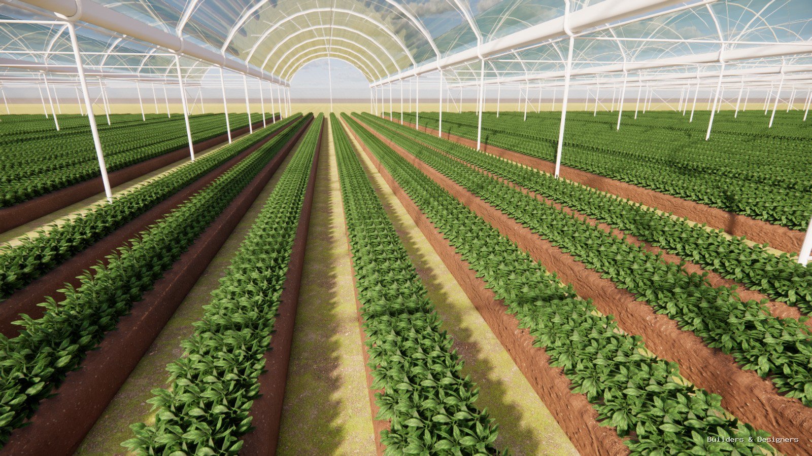 Mr RAFI project green house